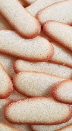 Langues de chat